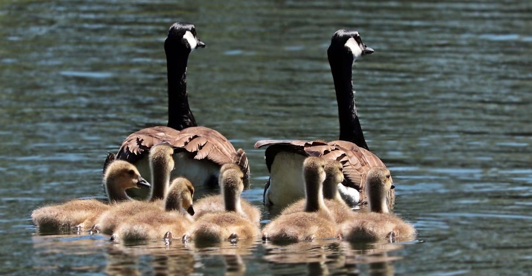 FAMILIA: EL CONSUMO EROSIONA LA VIDA DEL ALCOHÓLICO Y DESBORDA A SU FAMILIA